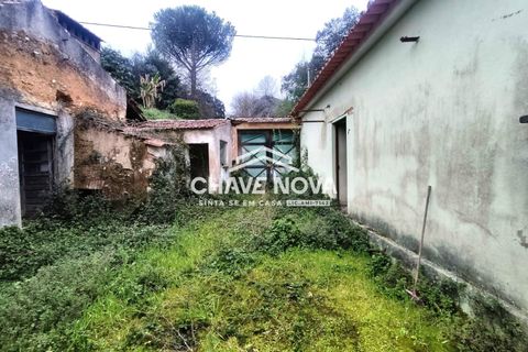 Villa a Estarreja, Aveiro, Estarreja - € 125.000 | Ref: SMF/02916 - foto 13