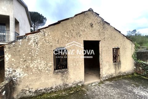 Villa a Estarreja, Aveiro, Estarreja - € 125.000 | Ref: SMF/02916 - foto 14