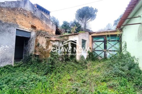 Villa a Estarreja, Aveiro, Estarreja - € 125.000 | Ref: SMF/02916 - foto 15