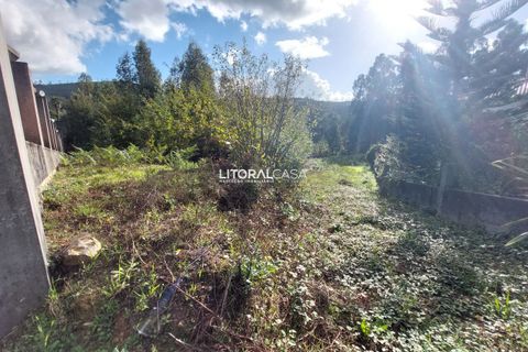 Helårsgrund i Sever do Vouga, Aveiro, Sever do Vouga - € 55.000 | Ref: VEN-3833 - foto 3