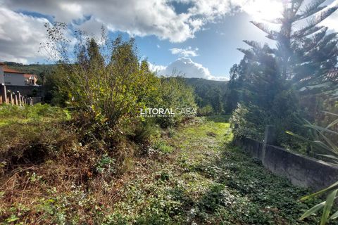 Helårsgrund i Sever do Vouga, Aveiro, Sever do Vouga - € 55.000 | Ref: VEN-3833 - foto 6