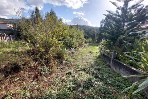 Helårsgrund i Sever do Vouga, Aveiro, Sever do Vouga - € 55.000 | Ref: VEN-3833 - foto 7