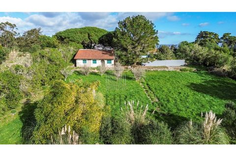 Helårsgrund i Sintra, Lisbon, Sintra - € 780.000 | Ref: HB0679 - foto 5