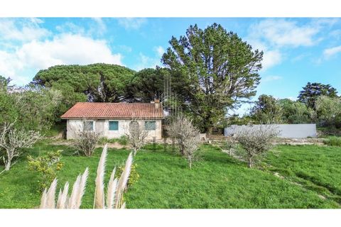 Helårsgrund i Sintra, Lisbon, Sintra - € 780.000 | Ref: HB0679 - foto 6
