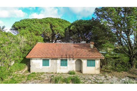 Helårsgrund i Sintra, Lisbon, Sintra - € 780.000 | Ref: HB0679 - foto 14