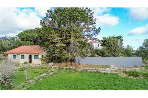 Helårsgrund i Sintra, Lisbon, Sintra - € 780.000 | Ref: HB0679 - foto 15