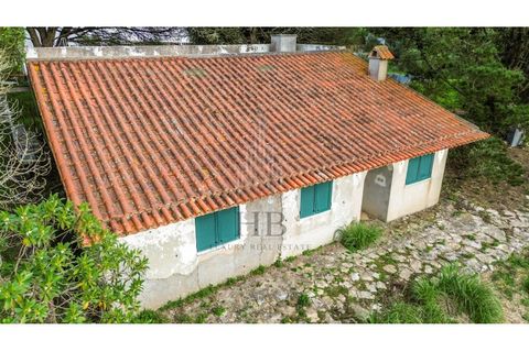 Helårsgrund i Sintra, Lisbon, Sintra - € 780.000 | Ref: HB0679 - foto 17