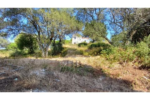 Villa i Alcabideche, Lisbon, Alcabideche - € 860.000 | Ref: HB0616 - foto 6
