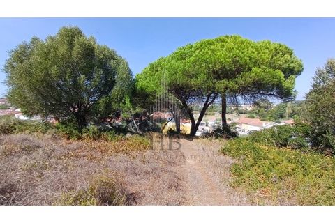 Villa i Alcabideche, Lisbon, Alcabideche - € 860.000 | Ref: HB0616 - foto 9