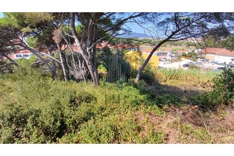 Villa i Alcabideche, Lisbon, Alcabideche - € 860.000 | Ref: HB0616 - foto 19
