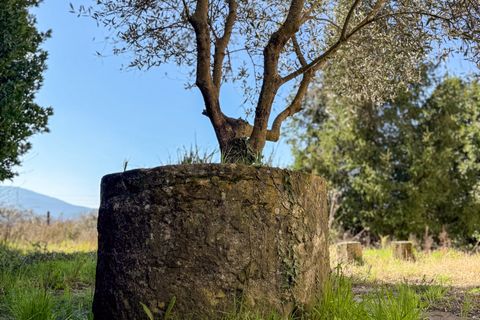 Villa a Capannori, Lucca, Capannori - € 560.000 | Ref: 5327 - foto 10