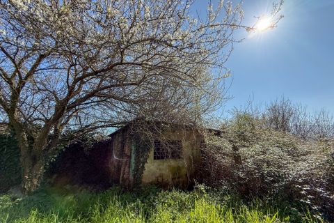Villa a Capannori, Lucca, Capannori - € 560.000 | Ref: 5327 - foto 11