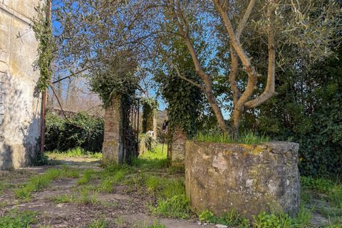 Villa a Capannori, Lucca, Capannori - € 560.000 | Ref: 5327 - foto 18