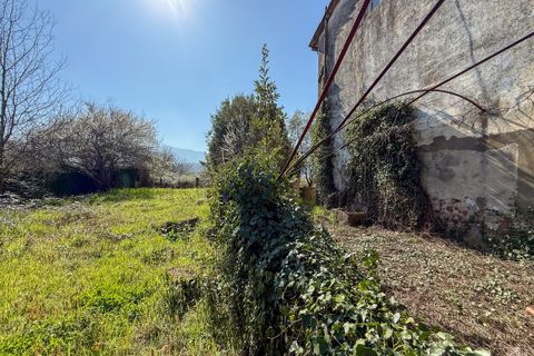 Villa a Capannori, Lucca, Capannori - € 560.000 | Ref: 5327 - foto 20