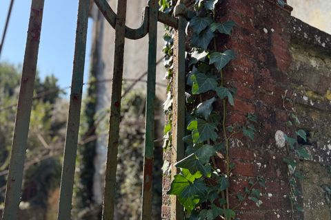 Villa a Capannori, Lucca, Capannori - € 560.000 | Ref: 5327 - foto 27