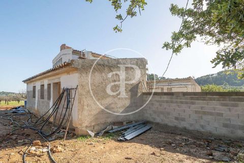 Villa i Selva, Mallorca, Selva - € 5 500 000 | Ref: VPM2503007 - foto 17
