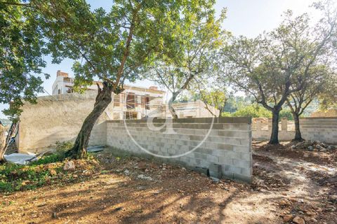 Villa i Selva, Mallorca, Selva - € 5 500 000 | Ref: VPM2503007 - foto 18