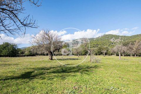 Villa i Selva, Mallorca, Selva - € 5 500 000 | Ref: VPM2503007 - foto 26