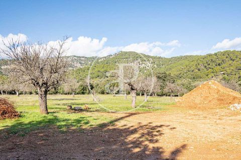 Villa i Selva, Mallorca, Selva - € 5 500 000 | Ref: VPM2503007 - foto 27