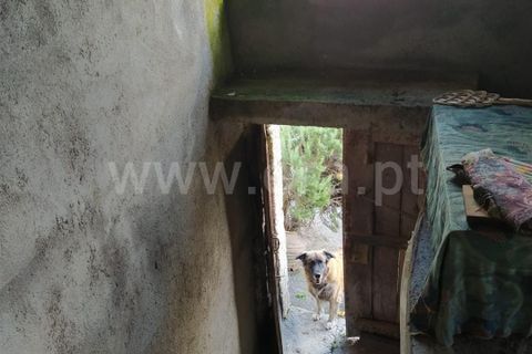 Villa a Celorico da Beira, Guarda, Celorico da Beira - € 30.000 | Ref: 046250026 - foto 8