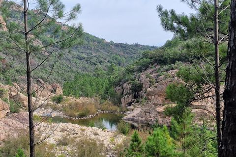 Villa a Solenzara, Corse-du-Sud, Solenzara - € 1.800.000 | Ref: LPBS 2024 - foto 6