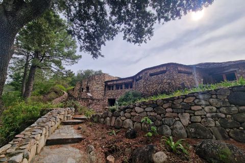 Villa a Solenzara, Corse-du-Sud, Solenzara - € 1.800.000 | Ref: LPBS 2024 - foto 12