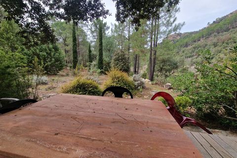 Villa a Solenzara, Corse-du-Sud, Solenzara - € 1.800.000 | Ref: LPBS 2024 - foto 17
