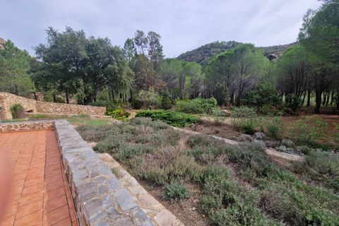 Villa a Solenzara, Corse-du-Sud, Solenzara - € 1.800.000 | Ref: LPBS 2024 - foto 19