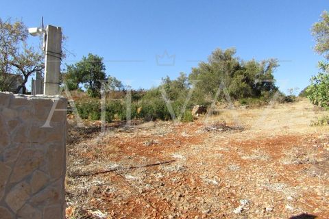 Terra a Tunes, Faro, Tunes - € 350.000 | Ref: TER_295 - foto 2