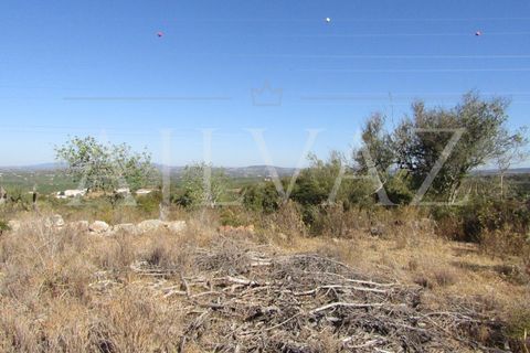 Terra a Tunes, Faro, Tunes - € 350.000 | Ref: TER_295 - foto 3