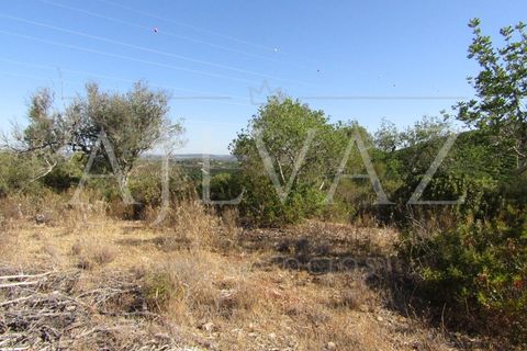 Terra a Tunes, Faro, Tunes - € 350.000 | Ref: TER_295 - foto 4