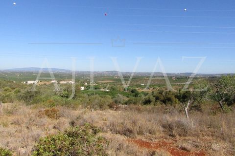 Terra a Tunes, Faro, Tunes - € 350.000 | Ref: TER_295 - foto 5