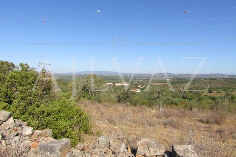Terra a Tunes, Faro, Tunes - € 350.000 | Ref: TER_295 - foto 6