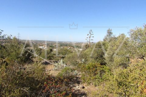 Terra a Tunes, Faro, Tunes - € 350.000 | Ref: TER_295 - foto 7
