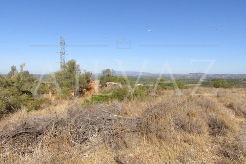 Terra a Tunes, Faro, Tunes - € 350.000 | Ref: TER_295 - foto 8