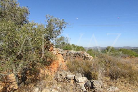 Terra a Tunes, Faro, Tunes - € 350.000 | Ref: TER_295 - foto 9