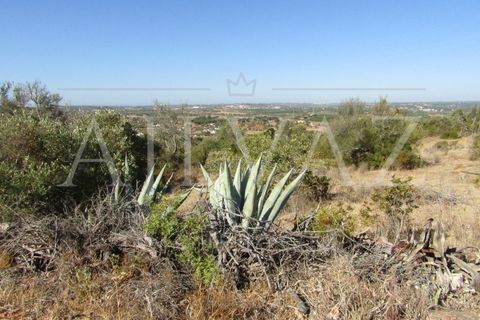 Terra a Tunes, Faro, Tunes - € 350.000 | Ref: TER_295 - foto 10