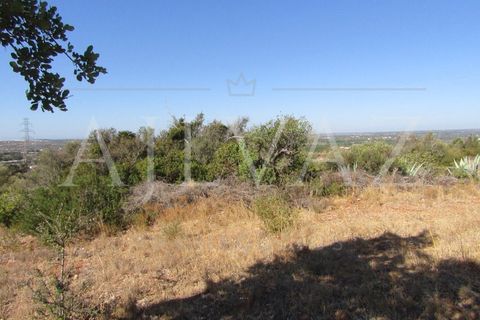 Terra a Tunes, Faro, Tunes - € 350.000 | Ref: TER_295 - foto 11