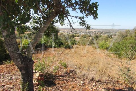 Terra a Tunes, Faro, Tunes - € 350.000 | Ref: TER_295 - foto 12