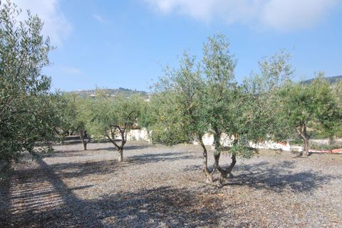 Villa i Itrabo, Granada, Itrabo - € 1.350.000 | Ref: 5318 - foto 24