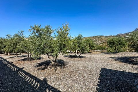 Villa i Itrabo, Granada, Itrabo - € 1.350.000 | Ref: 5318 - foto 37