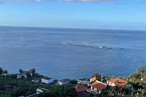 Helårsgrund i Arco da Calheta, Madeira, Arco da Calheta - € 425.000 | Ref: SF-SAFTI:006471 - foto 2