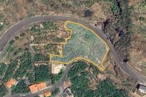 Helårsgrund i Arco da Calheta, Madeira, Arco da Calheta - € 425.000 | Ref: SF-SAFTI:006471 - foto 3