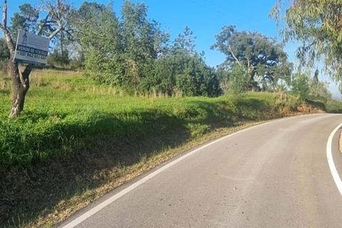 Helårsgrund i Lagoa, Faro, Lagoa - € 138.000 | Ref: 322 - foto 1