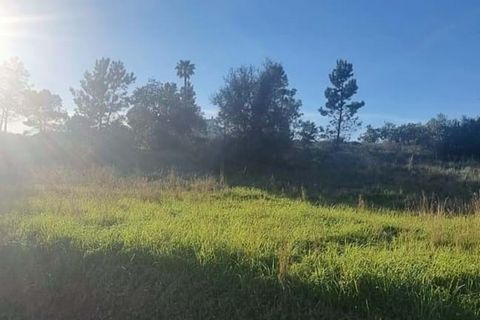 Helårsgrund i Lagoa, Faro, Lagoa - € 138.000 | Ref: 322 - foto 2