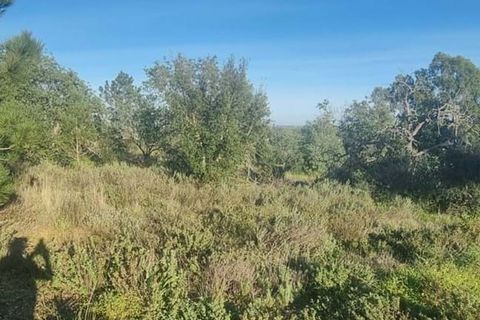 Helårsgrund i Lagoa, Faro, Lagoa - € 138.000 | Ref: 322 - foto 3