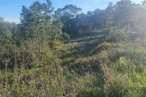Helårsgrund i Lagoa, Faro, Lagoa - € 138.000 | Ref: 322 - foto 5
