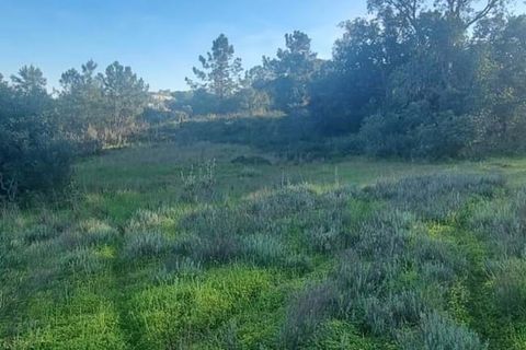 Helårsgrund i Lagoa, Faro, Lagoa - € 138.000 | Ref: 322 - foto 7