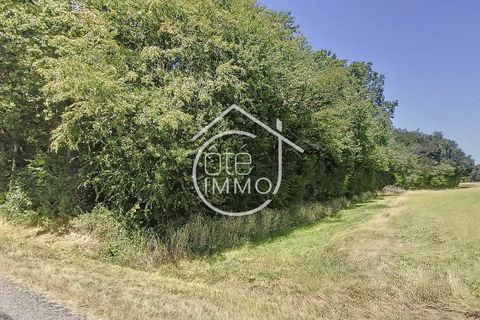 Terra a Savignac-de-Duras, Lot-et-Garonne, Savignac-de-Duras - € 14.000 | Ref: 4453 - foto 2