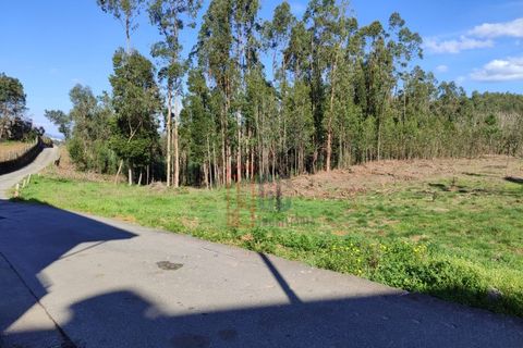 Helårsgrund i Pedroso, Porto, Pedroso - € 78.000 | Ref: GC1444 - foto 2